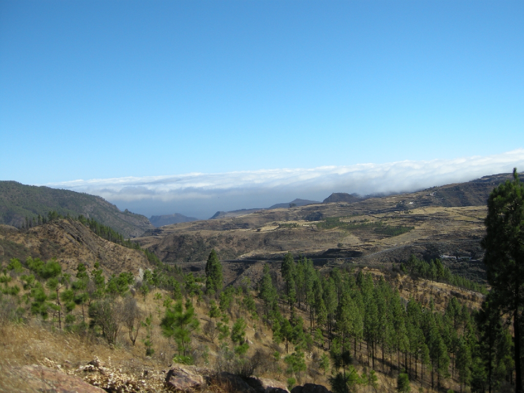 Gran Canaria 298